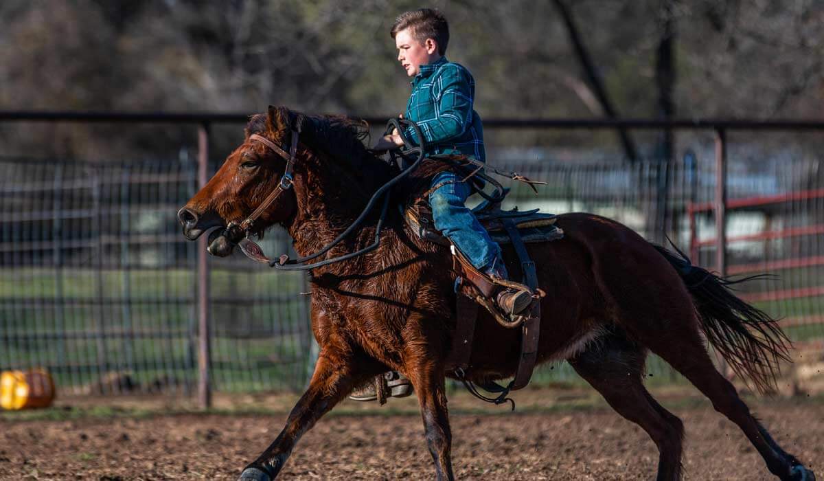 Adult Horse Riding
