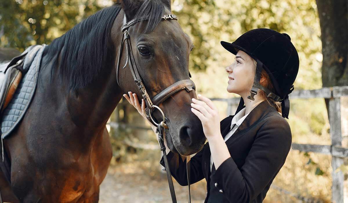 Horse Testimonial