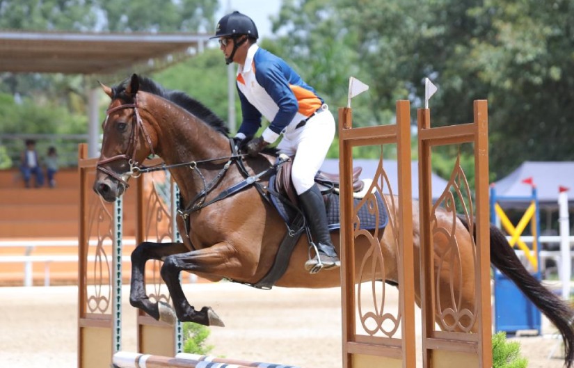 Zippy Equestrian sports Equestrian Sports