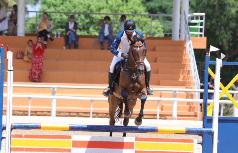 Zippy Equestrian sports equestrian-sport