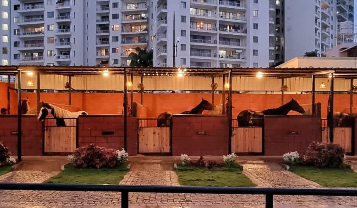 Horse Boarding