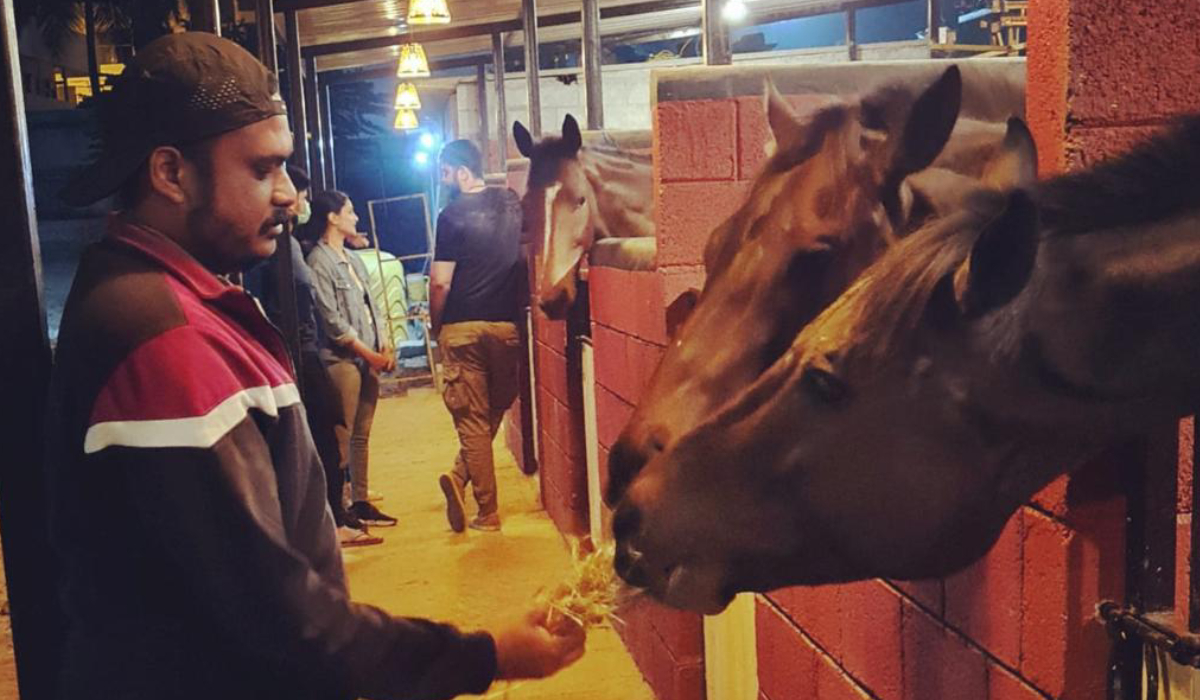 Horse Boarding