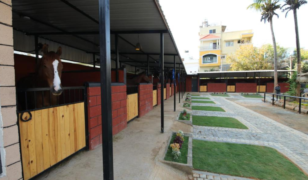 Horse Boarding