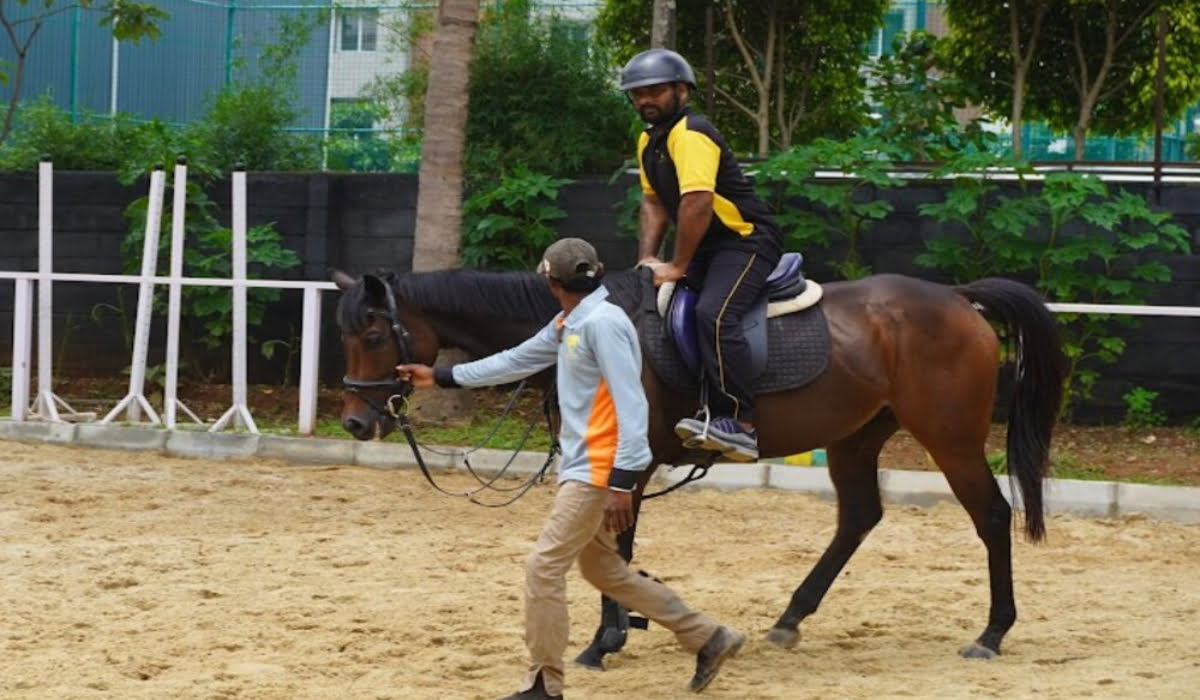 Horse Trainig