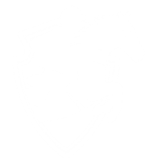 Zippy Equestrian