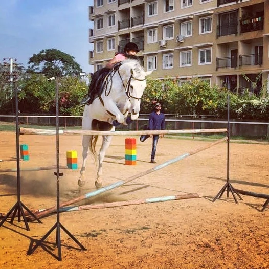 Horse Jumping