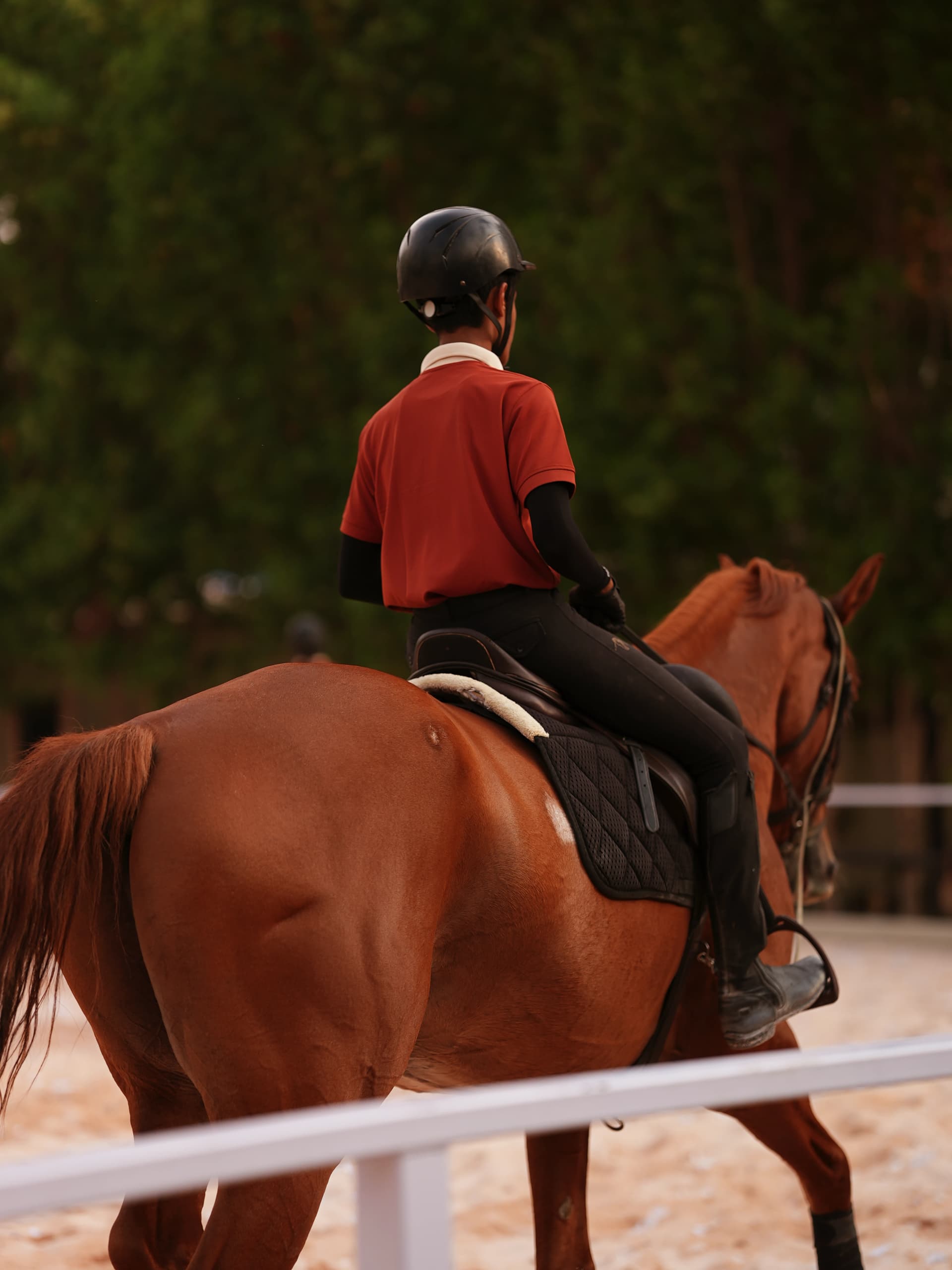 Zippy Equestrian Hero