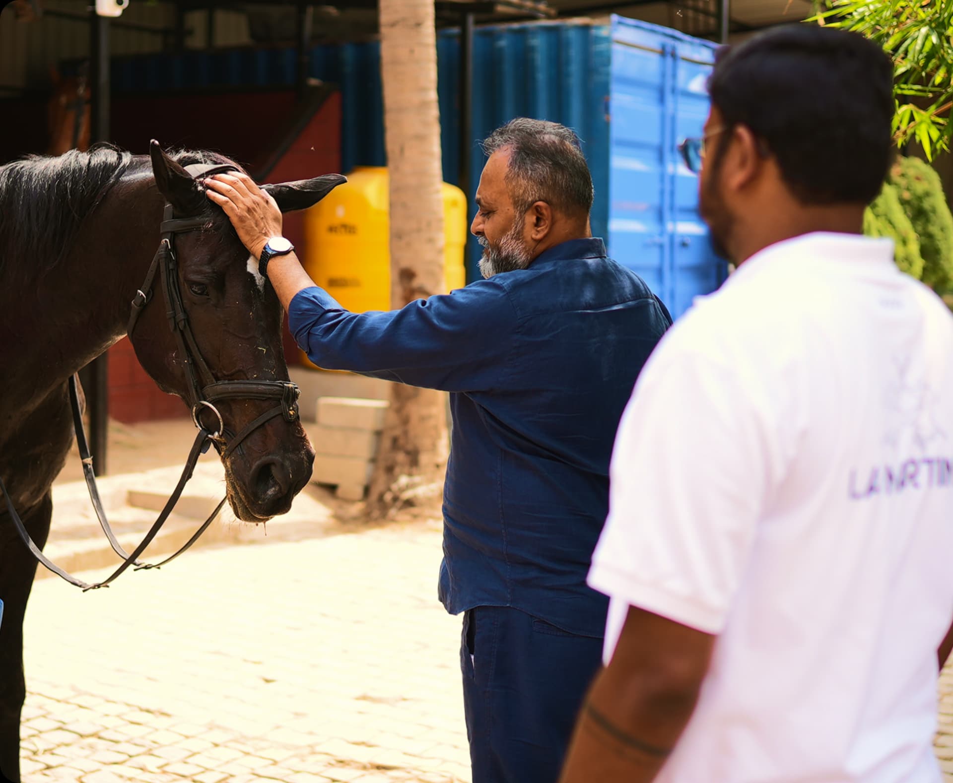 EQUESTRIAN CONSULTATION