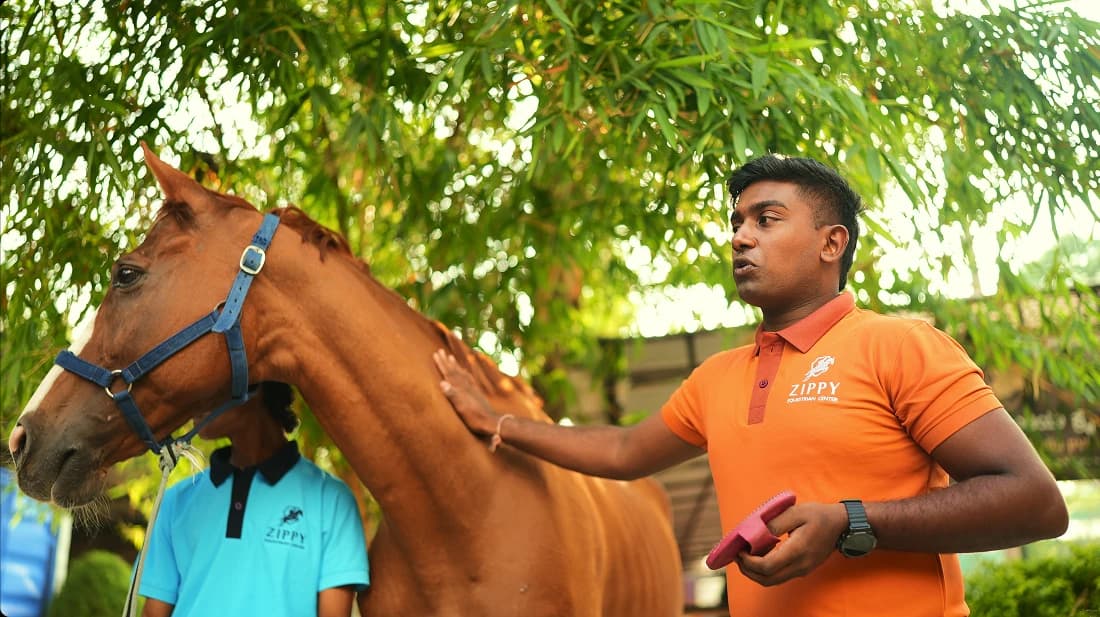 HORSE TRAINING