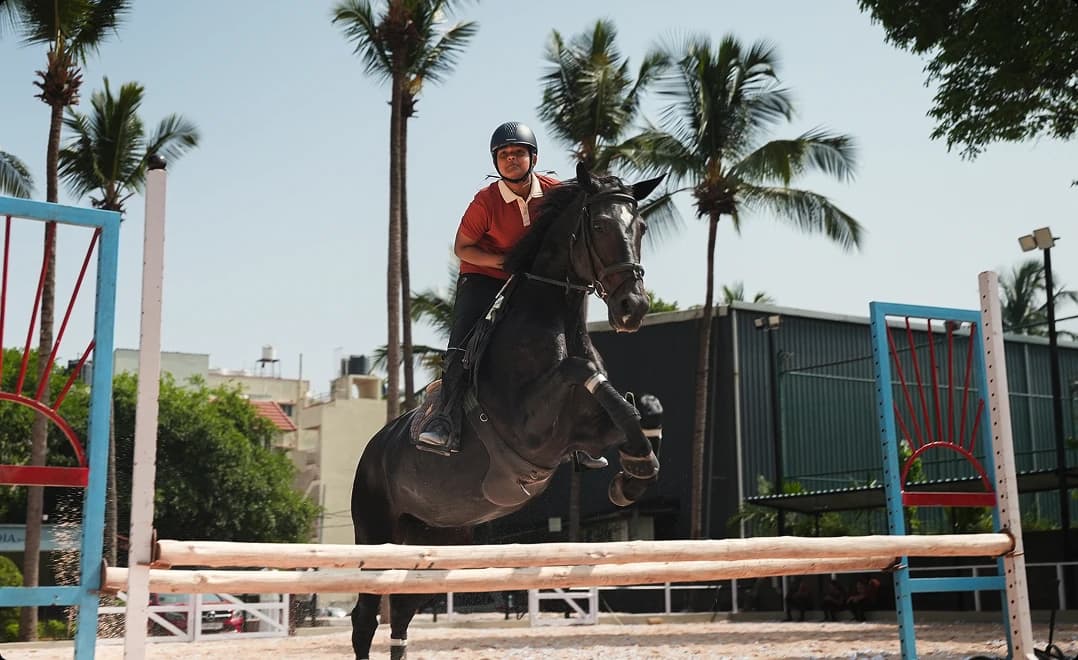 Show jumping Program